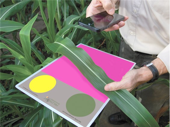 Система FieldScout GreenIndex+ 